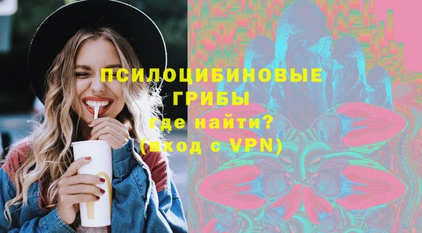 spice Краснослободск