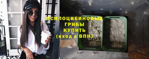 мдпв Туринск