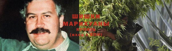 spice Краснослободск