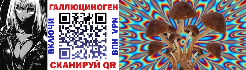 Псилоцибиновые грибы GOLDEN TEACHER  что такое   Нерюнгри 